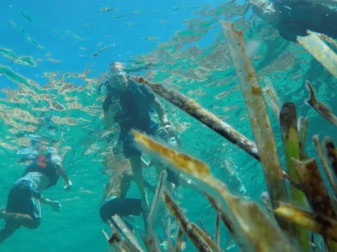 excursión Kayak Snorkel Ibiza Cala Codolar alquiler Kayak Ibiza Baleares