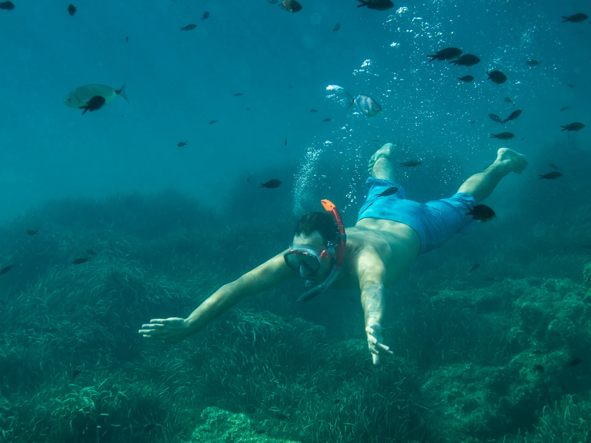 Los mejores sitios de España para practicar snorkel y buceo - Blog - Buendía