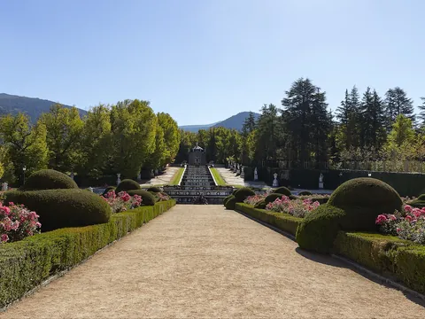 Camino de arena flanqueado por rosales hacia la cascada de La Granja, Segovia.