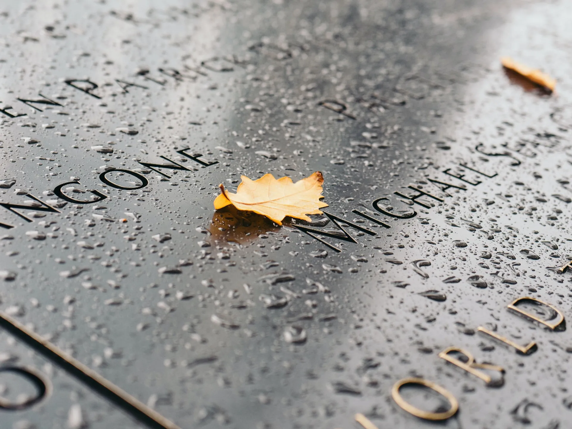 Detalle Zona Cero de Nueva York - Museo Memorial del 11-S - Qué ver en Nueva York - Guía de Viajes Nueva York - Buendía Tours
