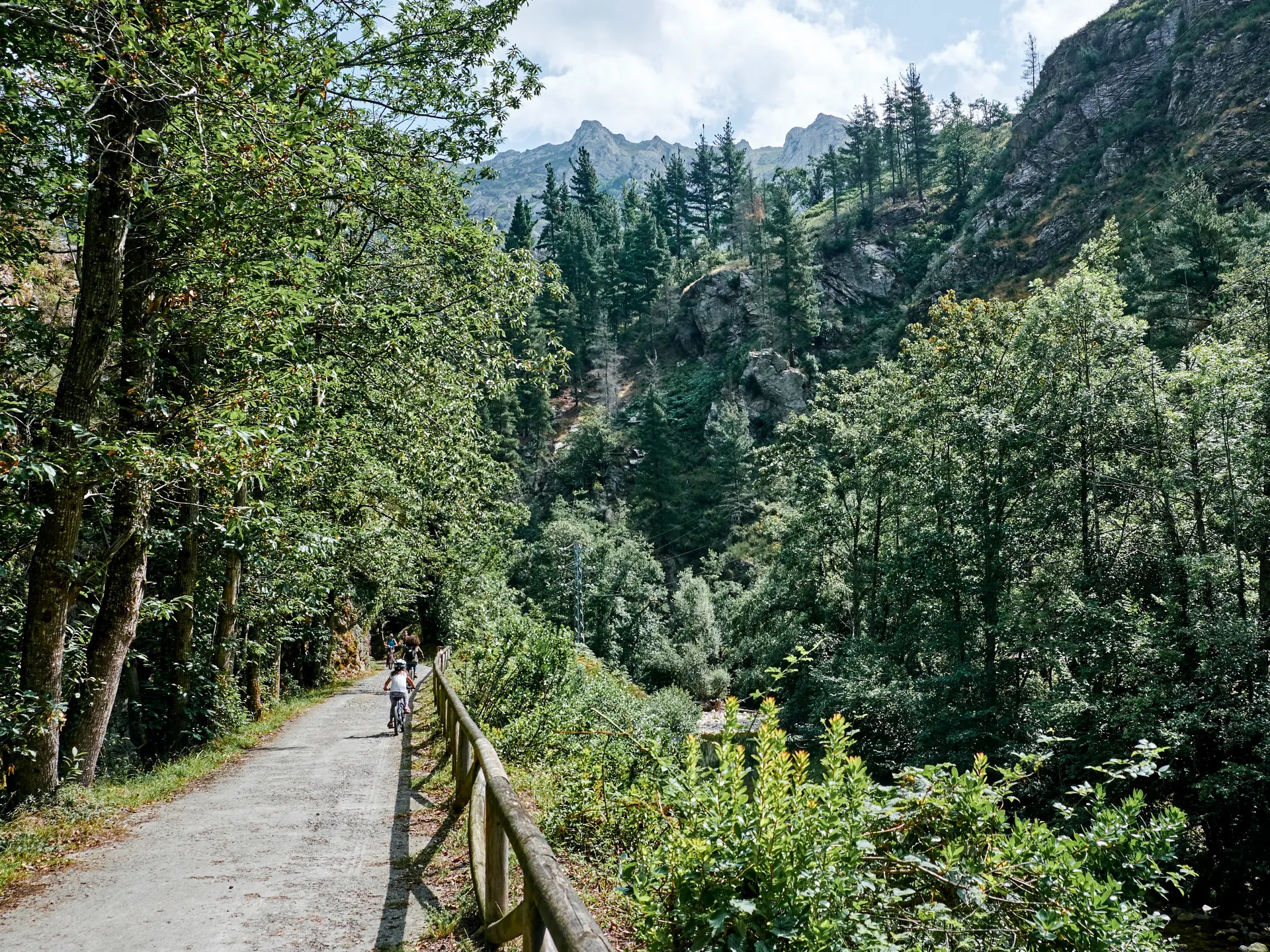 senda del oso