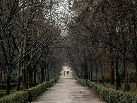 Paseo arbolado en El Retiro, Madrid.