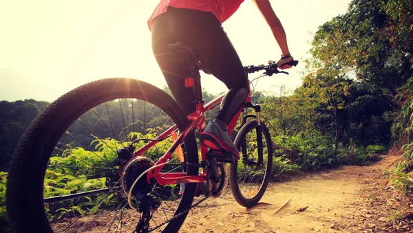 Qué hacer en Estepona: rutas en bici, naturaleza y excursiones por la Costa del Sol