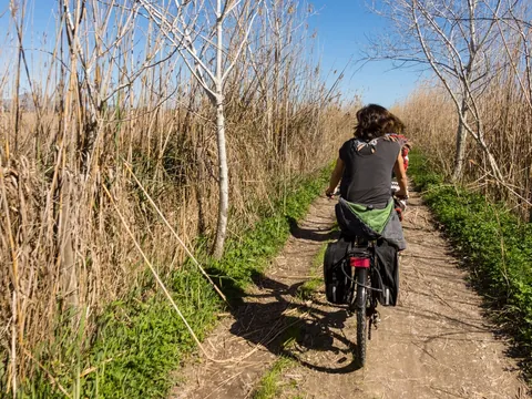 Ciclistas en sendero natural de la Albufera de Valencia