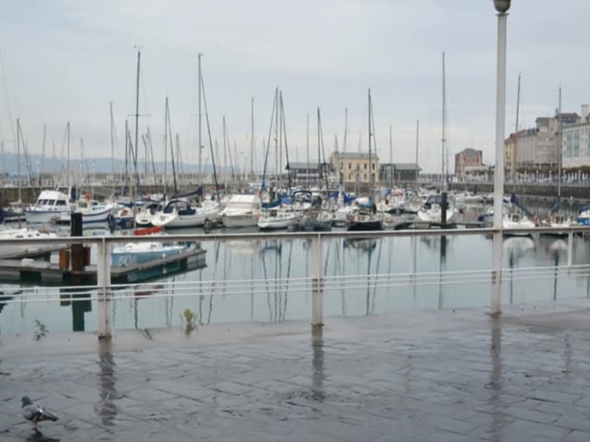 El puerto deportivo de Gijón con lluvia- Qué hacer en Gijón con lluvia-Qué hacer en Gijón-Planes en Gijón-Guía de Viajes Buendía Tours