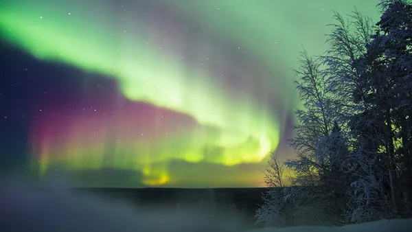 Auroras boreales verdes y púrpuras iluminando el cielo nocturno sobre un paisaje nevado con árboles oscuros en primer plano.
