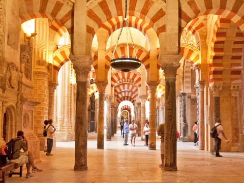 Bosque de Columnas en el Interior de la Catedral