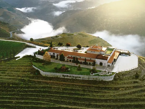 vista Area Bodegas Regina Viarium