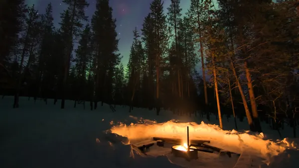 Fogata encendida en un círculo de nieve, rodeada de árboles altos en un bosque nevado, con auroras boreales verdes en el cielo nocturno.