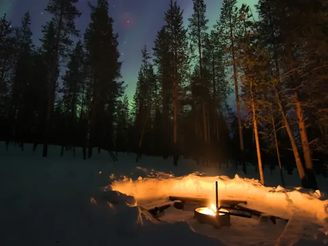 Fogata encendida en un círculo de nieve, rodeada de árboles altos en un bosque nevado, con auroras boreales verdes en el cielo nocturno.
