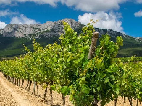 Tour por Laguardia y visita guiada a una bodega con cata