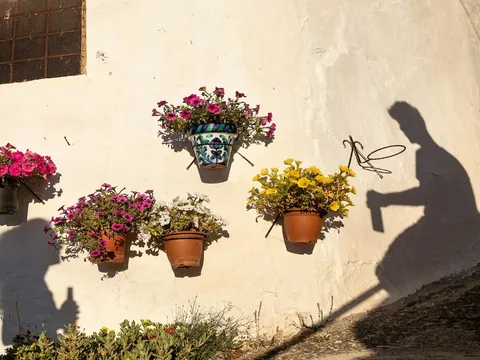 Macetas y sombras de personas en Granada