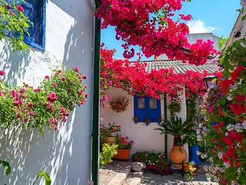 visita guiada Patios Córdoba
