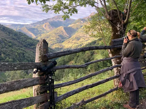 Grupo con prismáticos observando la berrea desde un mirador en Asturias