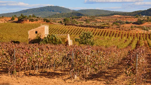 Excursiones en Valencia Provincia, historia, naturaleza y paisaje a un paso de la capital