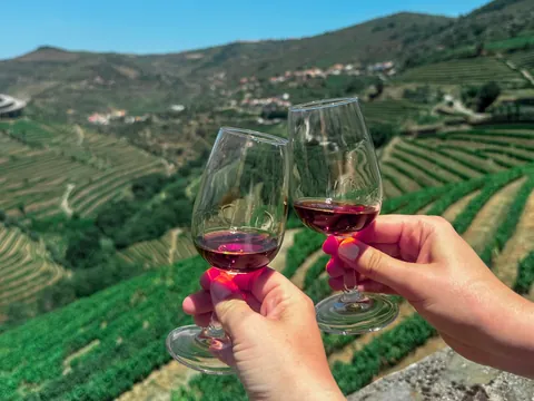 Brindis con vino frente a las terrazas de viñedos del Valle del Duero en un día soleado.