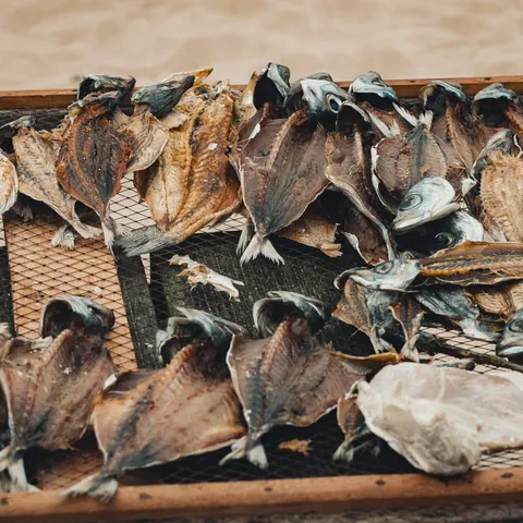 Pescado secándose al sol en rejillas de madera en la playa de Nazaré, Portugal.