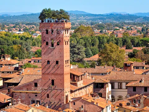 excursión Lucca Pisa desde Florencia Torre Guinigi tour Transporte Toscana Italia