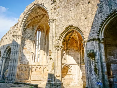 tour privado Pontevedra visita guiada Galicia