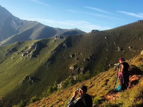 Grupo observando la berrea con prismáticos en Asturias