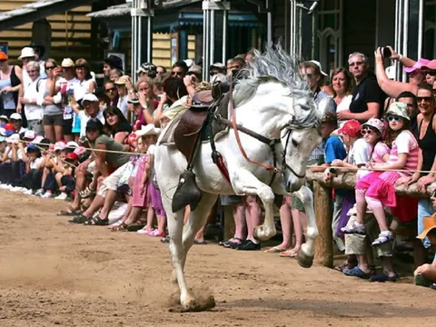 Las entradas a Sioux City Park también permiten ver animales en una granja, montar a caballo y disfrutar como un vaquero.