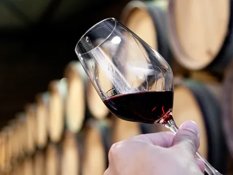 visita Bodega Madrid Romero Viñedo Bodegas Jumilla Murcia