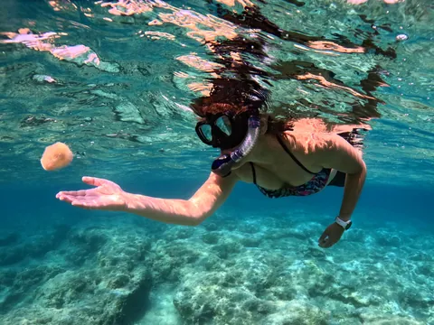 Durante la jornada podrás practicar snorkel.