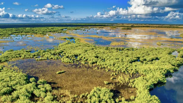 parque-nacional-everglades-excursion-desde-miami.jpg