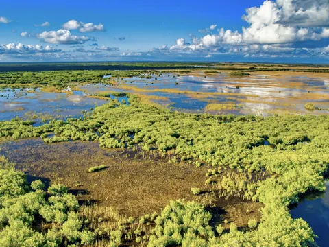 parque-nacional-everglades-excursion-desde-miami.jpg