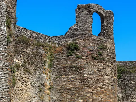 Excursiones y visitas guiadas en Lugo - Buendía