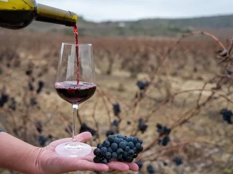 Experto en vino sirve una copa para una cota en la Rioja Alavesa