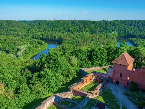 El intenso verde de los bosques visto desde las alturas deja un paisaje único.