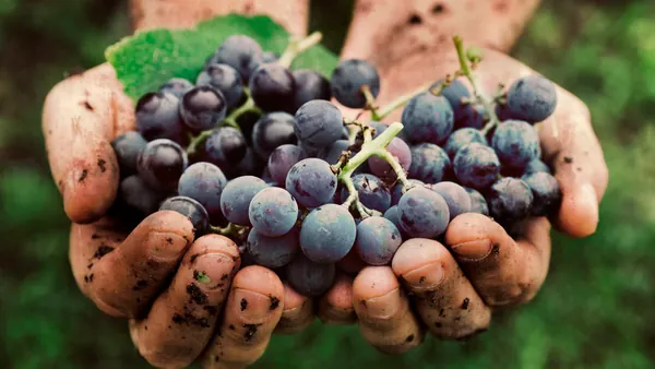 Qué hacer en Logroño entre vinos, pinchos y escapadas gastronómicas en La Rioja
