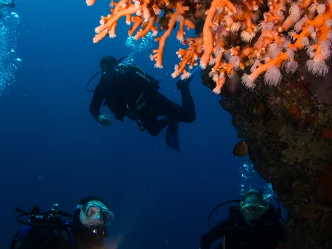 Bautismo de buceo con 2 inmersiones en Puerto del Carmen