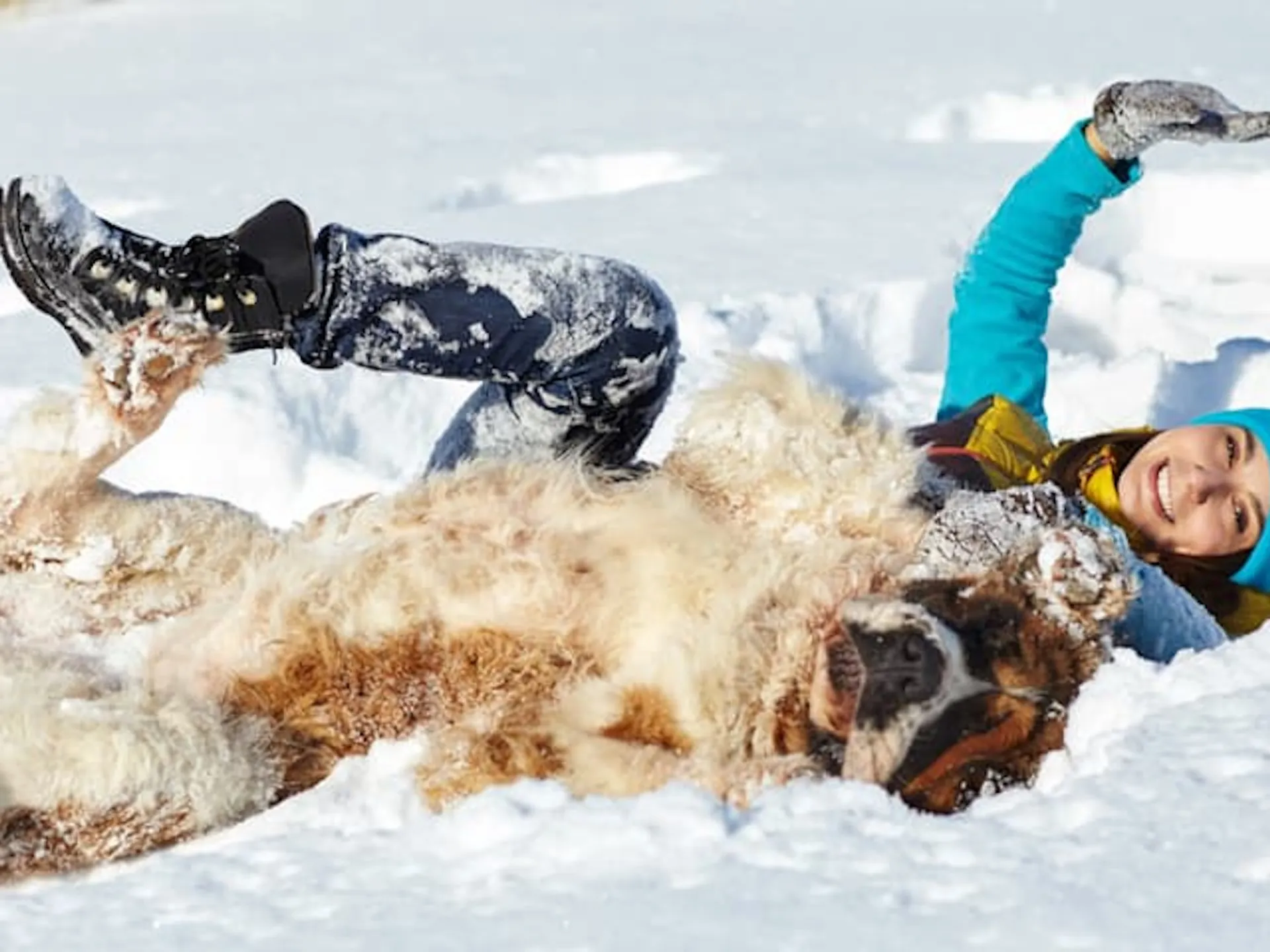Chica con perro en la nieve - Sierra Nevada con mascotas - Estación de Sierra Nevada - Guía de Viajes Sierra Nevada - Buendía