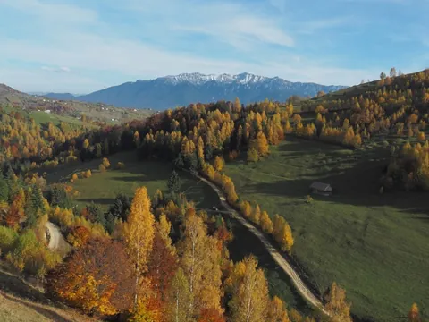 Paisaje otoñal en las montañas de los Cárpatos meridionales en Rumanía.