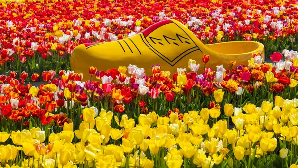 Excursión grupos reducidos Keukenhof desde Utrecht