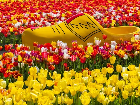 Excursión grupos reducidos Keukenhof desde Utrecht
