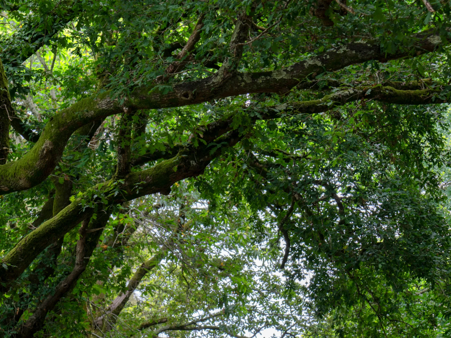 Parque de Bonaval - Parques Santiago Compostela - Buendia Tours
