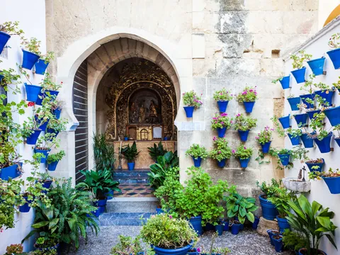 visita guiada Patios Córdoba