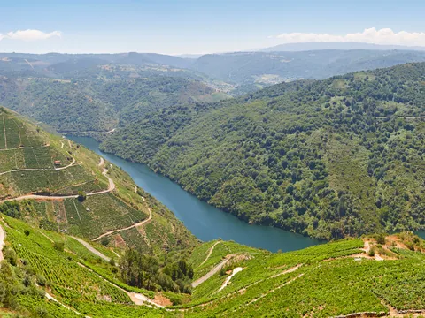 Excursión a la Ribeira Sacra con paseo en barco desde Santiago de Compostela