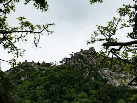 Murallas del Castillo de los Moros sobre una colina boscosa en Sintra, Portugal.