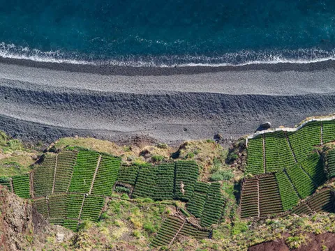 excursión 4x4 Madeira Bodegas Cata Vino Skywalk Cabo Girao Funchal