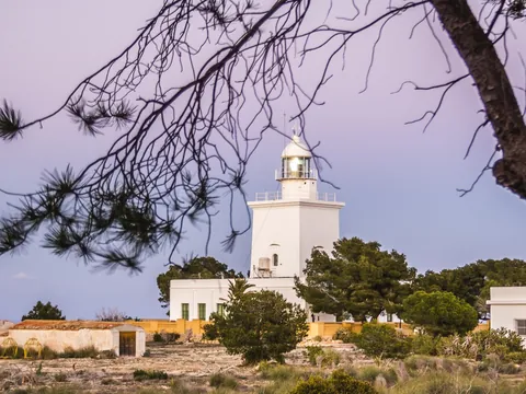 Faro de Santa Pola, Alicante, de color blanco y en la cima de un promontorio, enmarcado por una rama de pino.