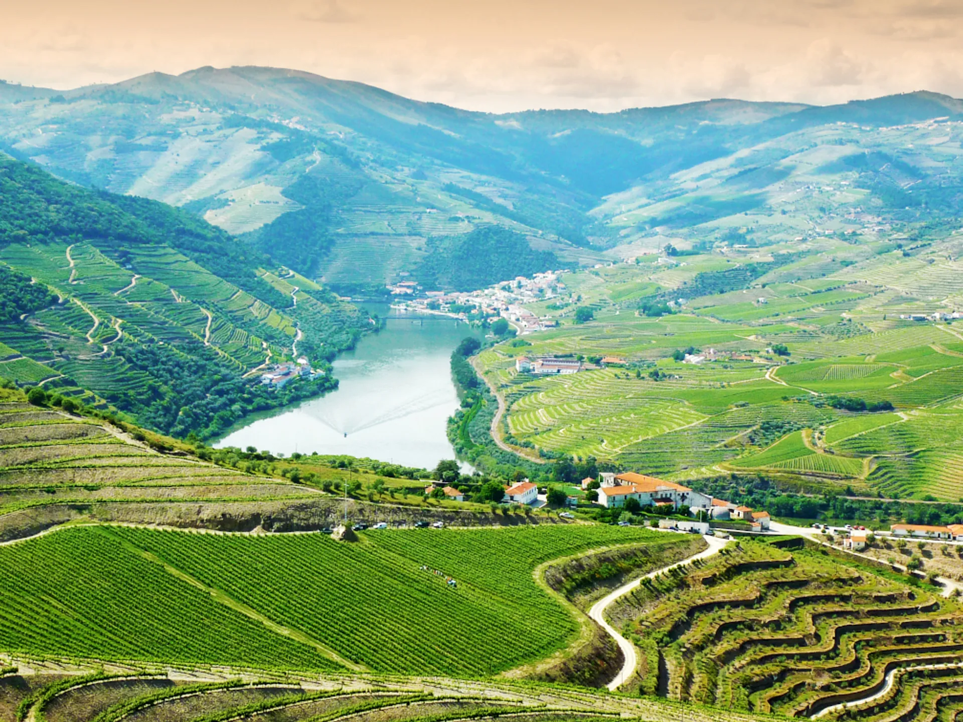 Viñedos Oporto - Las mejores bodegas en Oporto - Blog - Buendia Tours
