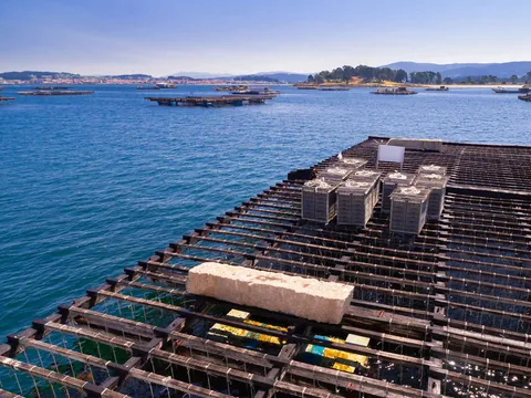 paseo en barco o Grove Ra Arousa Degustacion Mejillones Vino Galicia