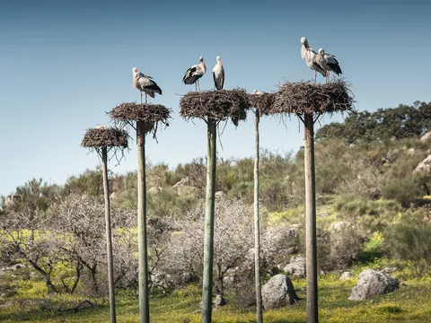 excursión Barruecos desde Cáceres visita guiada Extremadura