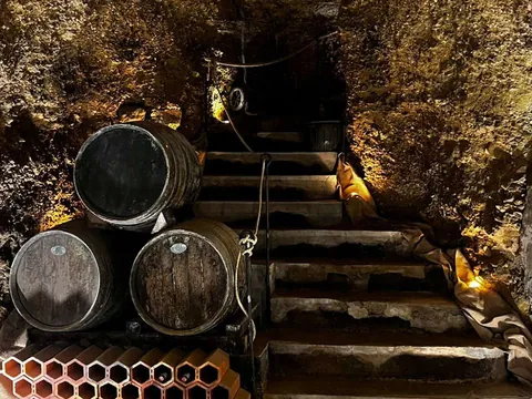 visita guiada Cueva Dorretxe Alava Vitoria Logroño País Vasco