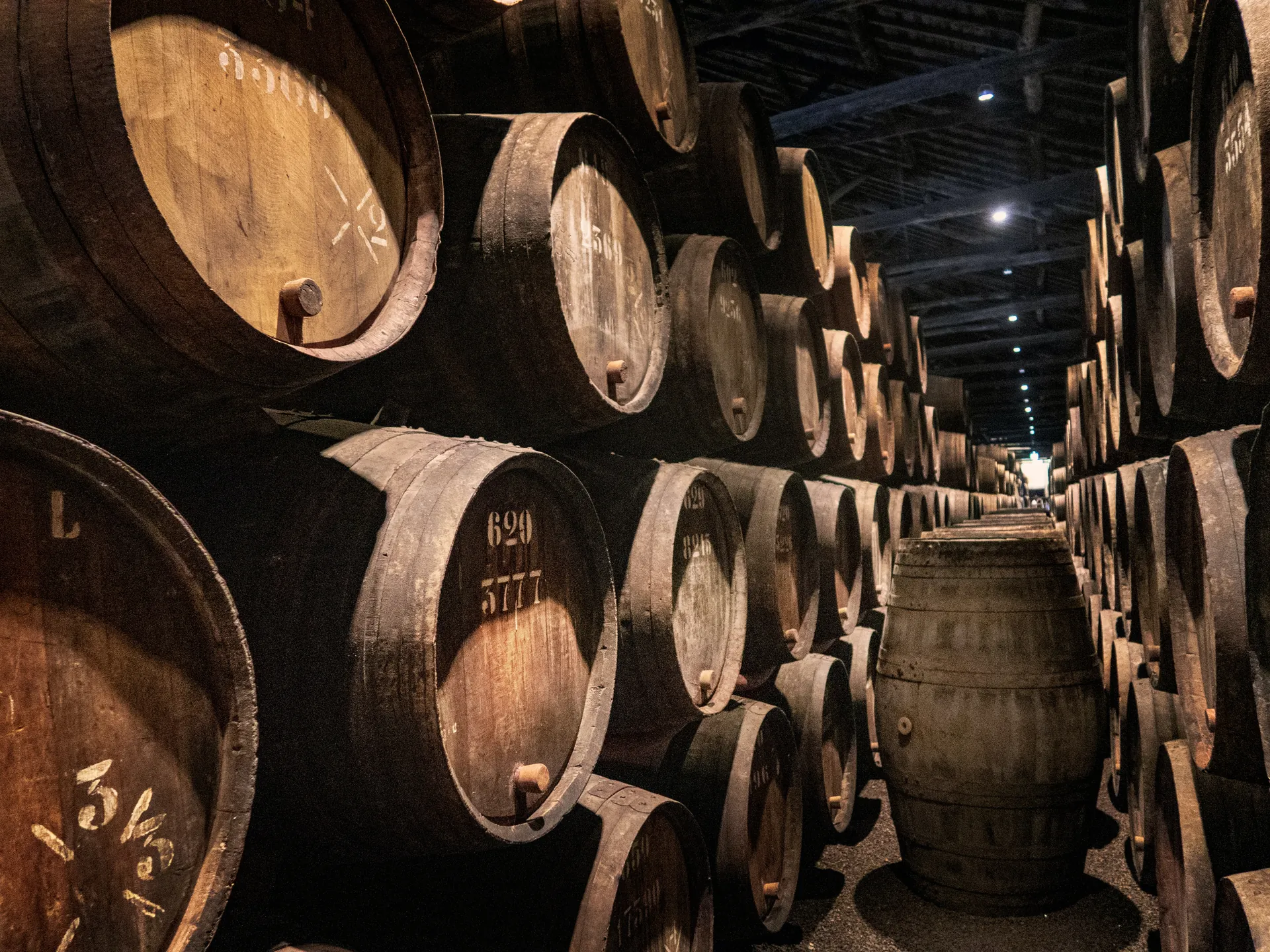 Bodegas Taylor - Las mejores Bodegas de Oporto - Blog - Buendía Tours