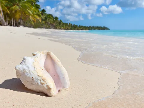 excursión isla Saona Santuario Mano Juan Tortugas Marinas Punta Cana República Dominicana